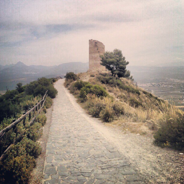 Instagramas: El Torreón
