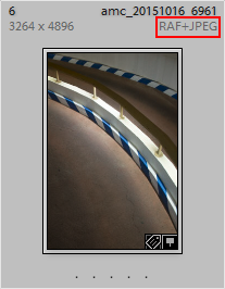 RAF es el archivo Raw que emplea Fujifilm