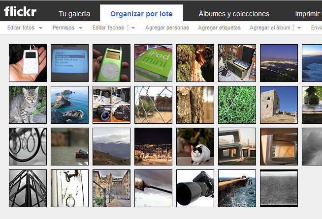 Algunas víctimas de la purga fotográfica Algunas víctimas de la purga fotográfica