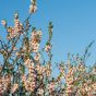Foto semanal: Arise, therefore [s40/52]